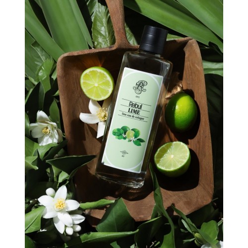 Rebul Lime EDC Kolonya 250 ml Cam Şişe