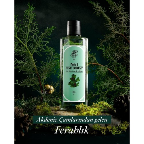 Rebul Pine Forest EDC Kolonya 250 ml Cam Şişe