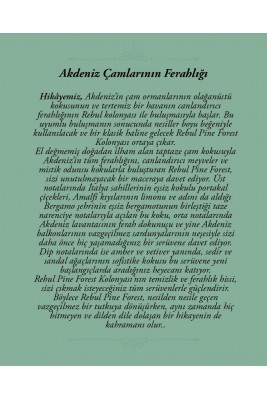 Rebul Pine Forest EDC Kolonya 125 ml Pet Şişe