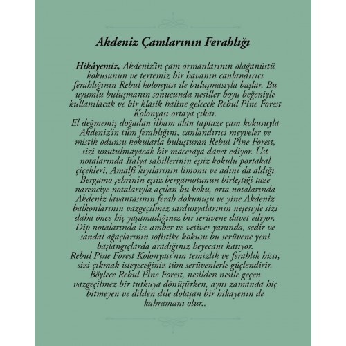 Rebul Pine Forest EDC Kolonya 125 ml Pet Şişe